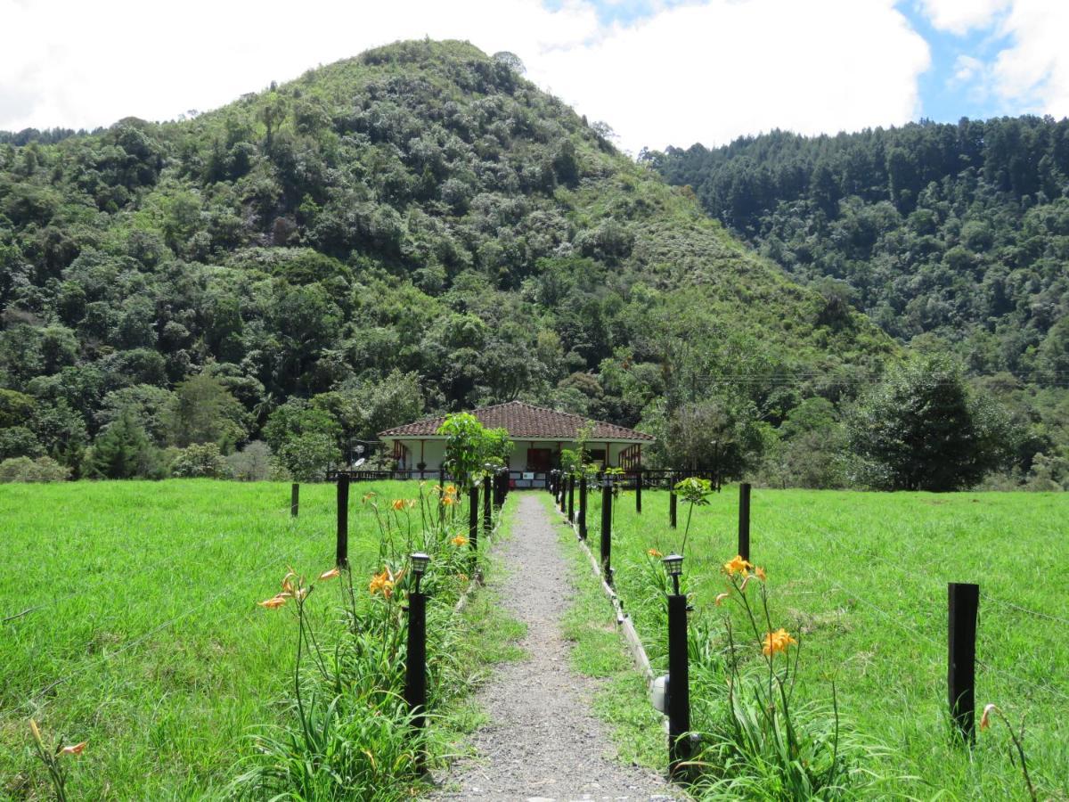 La Cabana Ecohotel - Valle Del Cocora Salento Exterior photo